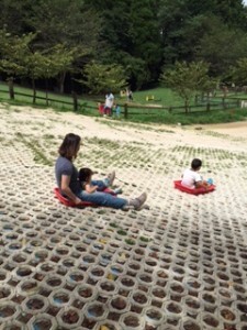３歳以下でも一緒に滑ればOK！大人もだいぶ楽しいです。