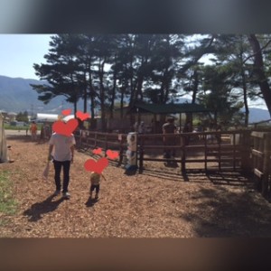 牧場に一歩足を踏み入れると、地面の土はふっかふかで走り回るのがたのしー！