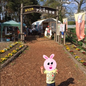 町営の八ヶ岳アルパカ牧場。だから安いのかしら？なぜでも町営？