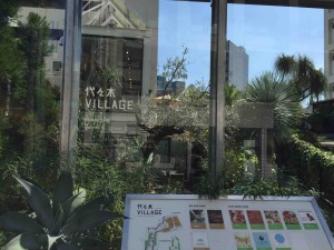 代ゼミの裏に突如広がる緑の空間