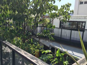 それほど広くはないので、ベビーカーではちょろちょろできずに撤収（苦笑）