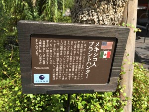 ちょっとした物語や豆知識も身につくし、