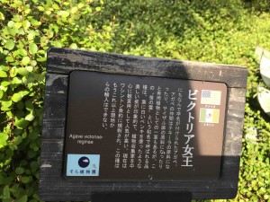 こんな風に植物の説明も趣向が凝らされ、