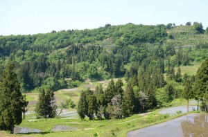 東下組（ひがししもぐみ）・下条（げじょう）高原はこんなところだそうです（Facebookより）