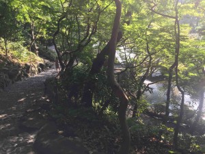 石の坂道の下には日本庭園が広がる