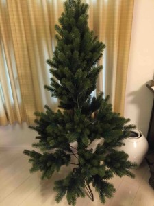 枝を広げないと格好悪い（苦笑）