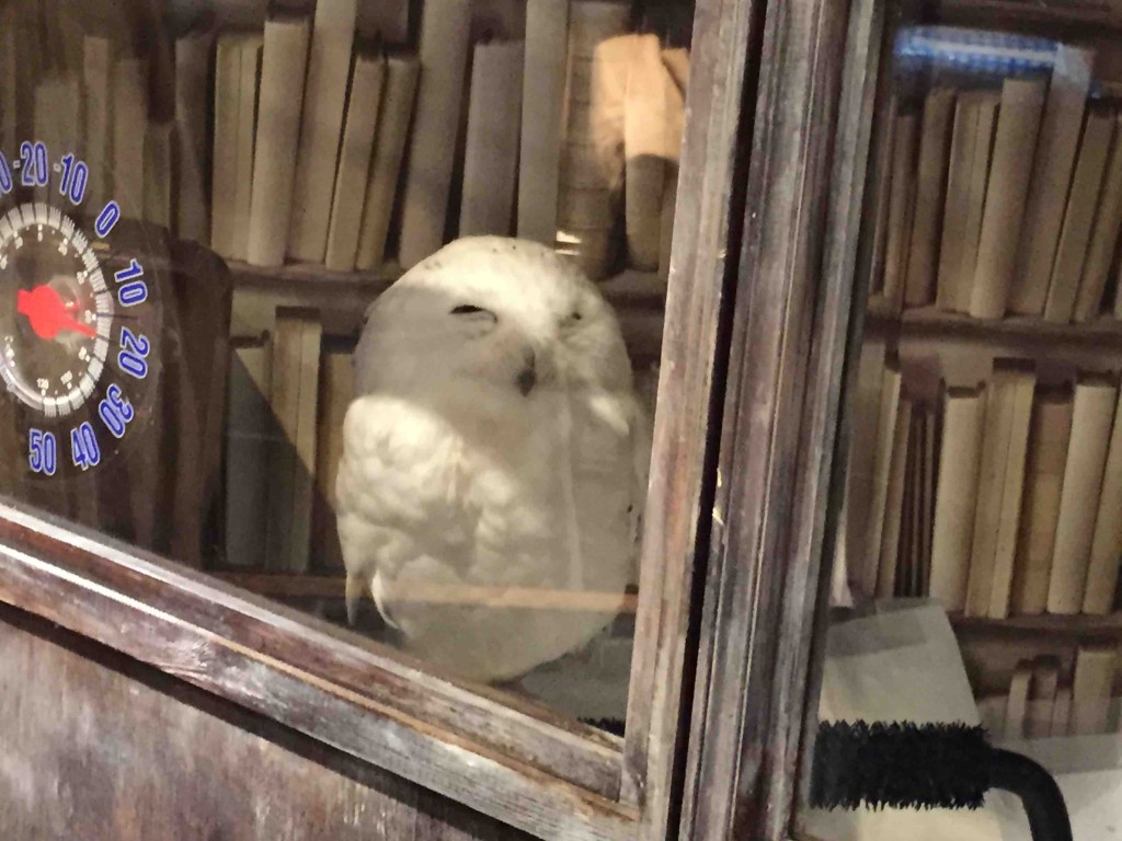 うとうと居眠り中（笑）