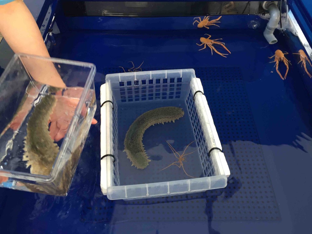 砂時計で一人１分ずつくらい触らせてもらえます