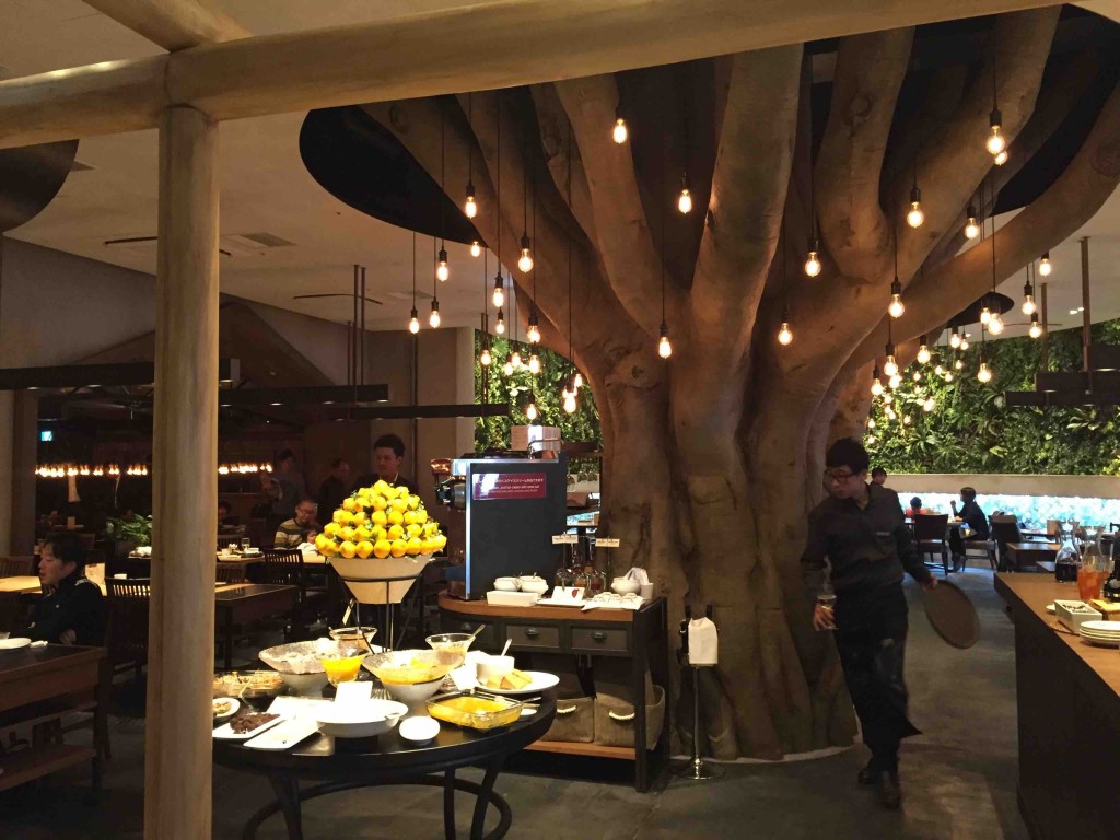 お店の真ん中に大きな木!!