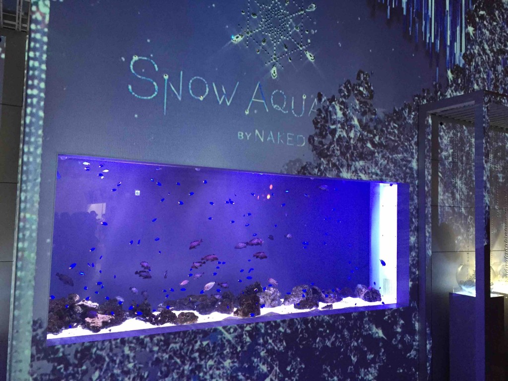 いきなりおしゃれな水槽が登場