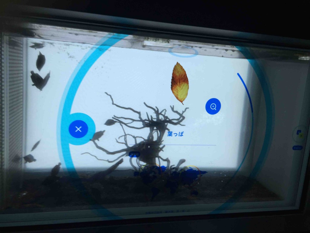 タッチパネルと水槽と魚と・・・最新技術が駆使されてます