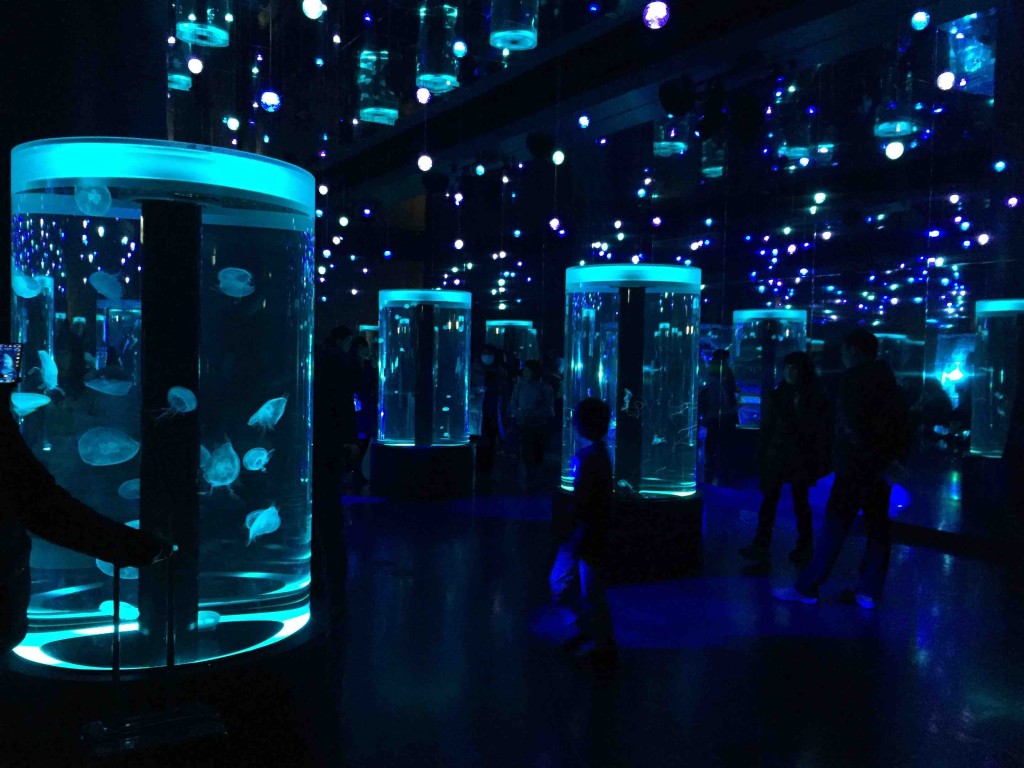 とにかく幻想的なクラゲの水槽