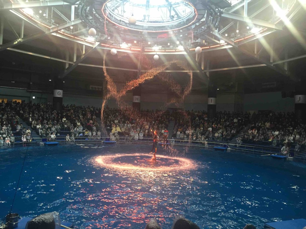 トレーナーのお姉さんをイルカが持ち上げる！？