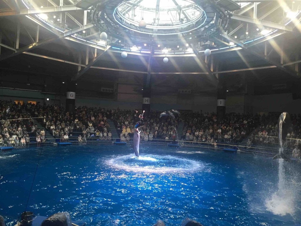 さらにジャンプ！！