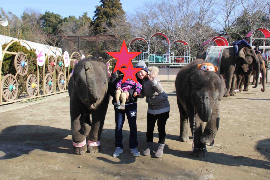 １歳＆２歳の赤ちゃんゾウと一緒に記念撮影3000円