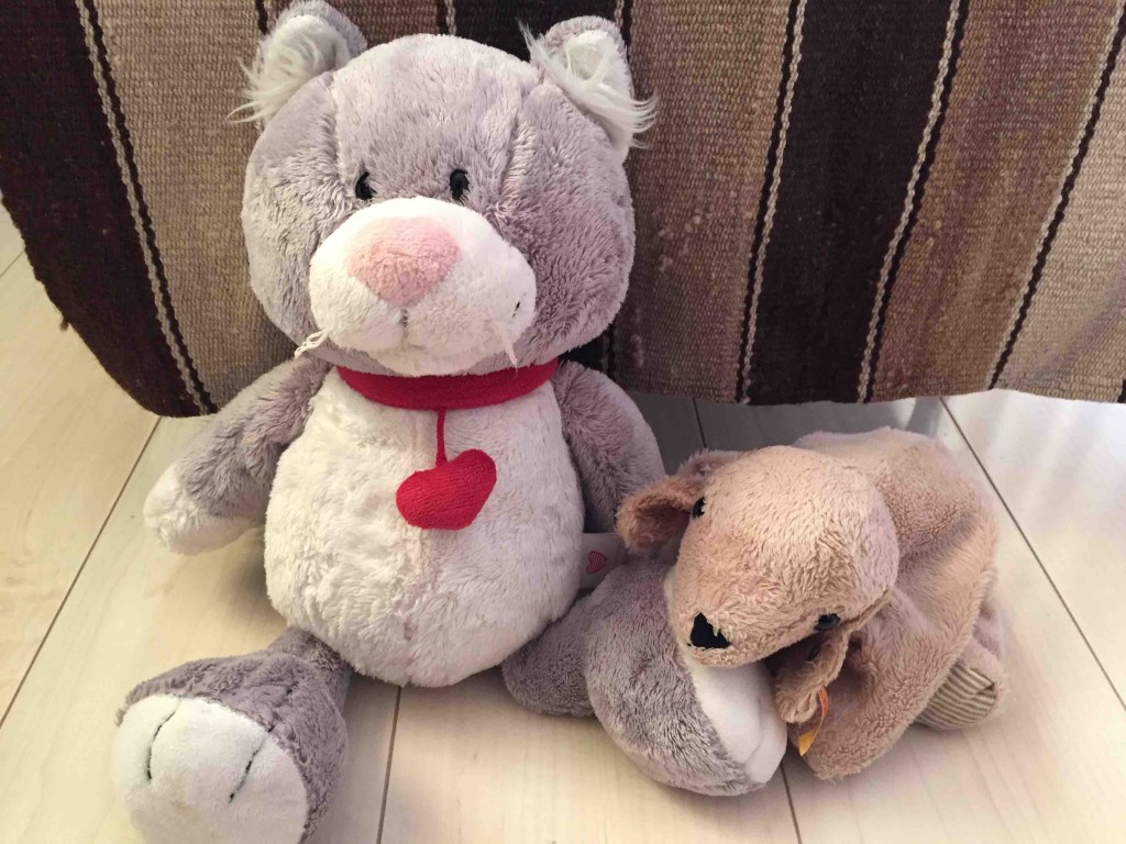 我が家の愛犬＆愛猫「わんわん」と「にゃーにゃ」