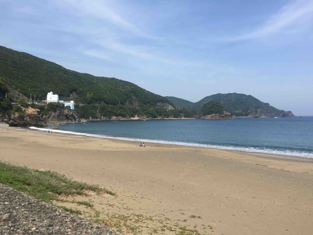 アカウミガメが産卵にやってくる大浜海岸