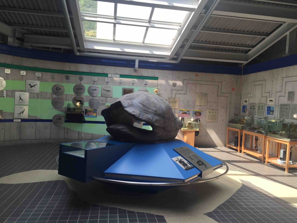 入るまずは「１太古からの足跡」と題した展示。博物館だから、ちゃんと解説や歴史的なものもあります。