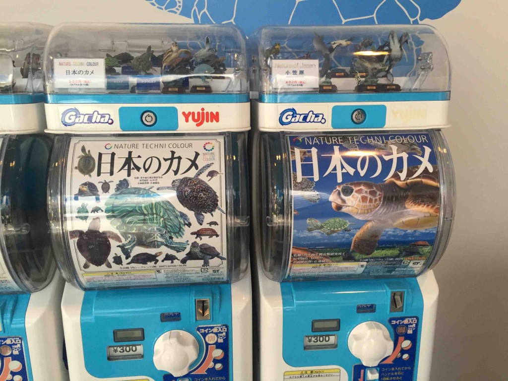 そして、ガチャガチャも見事にカメだらけ（笑）。うちは「日本のカメ」シリーズでミドリガメを引き当てたのですが、名前はなんと「ミシシッピ・・・」原産国はアメリカだった・・・。