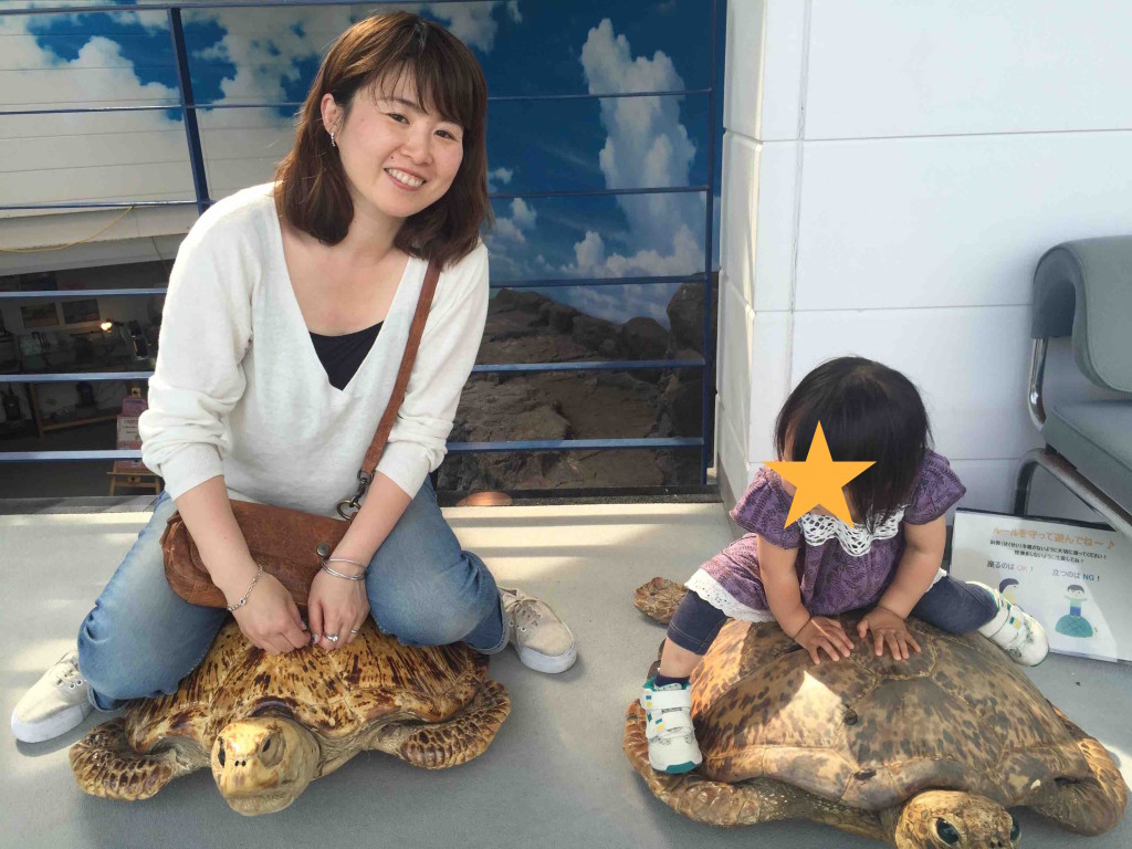 カメの剥製もあって、大人も乗れます、座れます。