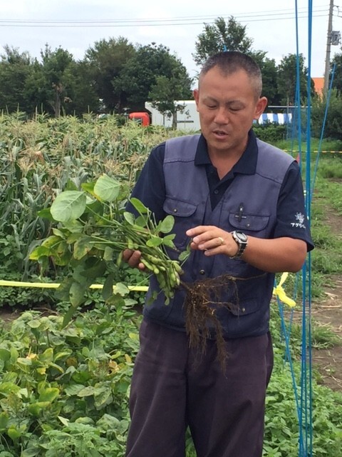 農園の田中さん曰く、極力農薬を使わず、育てているそう。その分たくさん虫もいますが、それは安心安全の証！