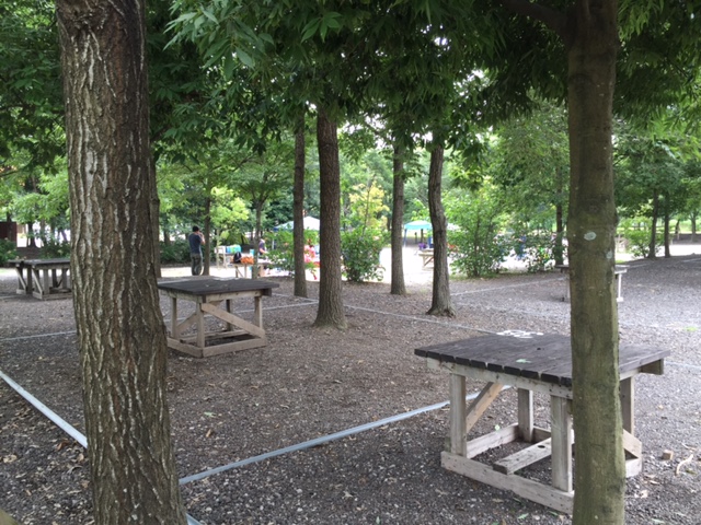 ちなみに芝生の脇にはBBQ施設も。収穫した野菜をその場でBBQにすることも！？