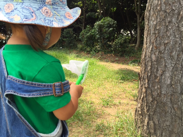 若洲公園キャンプ