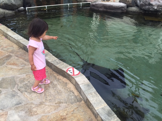 ハワイ カハラホテル