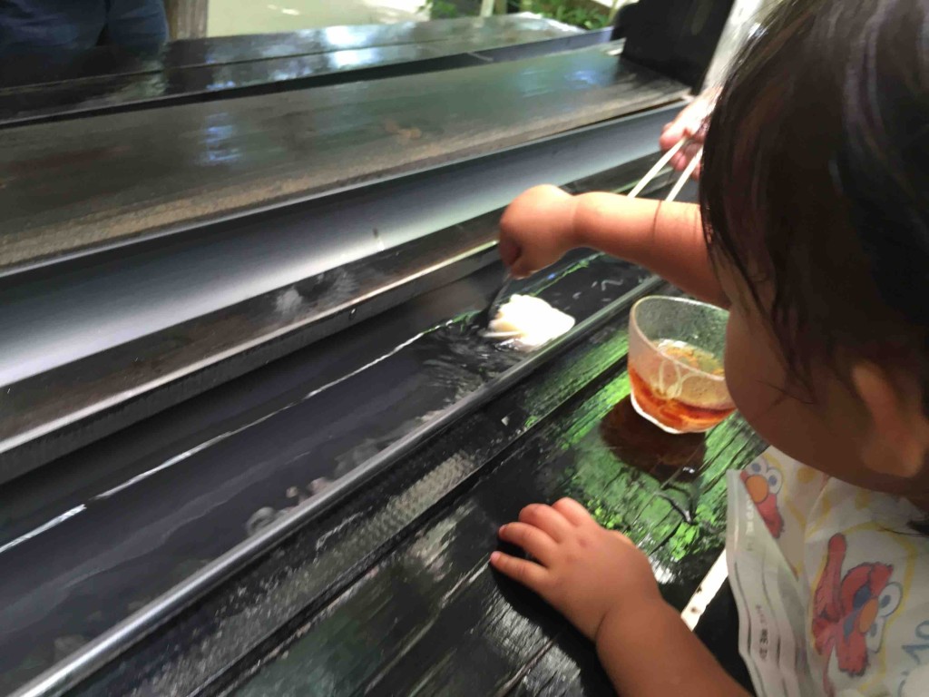 意外にスピードは早いけど、子どもでもちゃんと取れます。