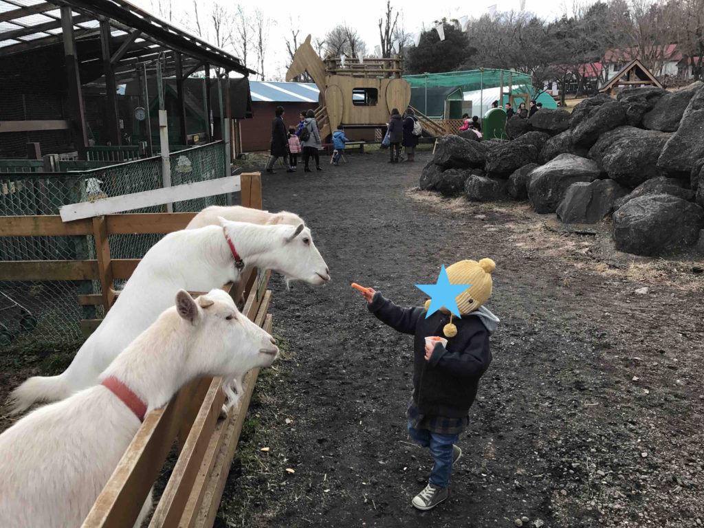 うさぎ小屋を抜けると、やぎや羊もたくさん。もちろん餌あげ放題。あ、有料ですけどね。